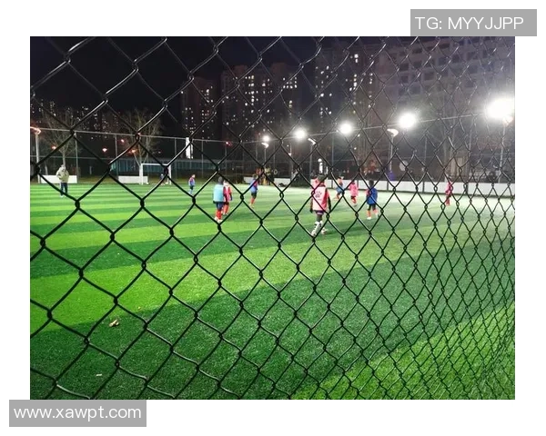 足球少年崛起之路：从街头球场到世界顶级舞台的荣耀之梦